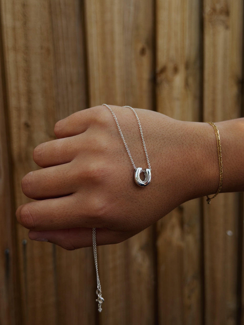 Horseshoe - Sterling Silver Pendant