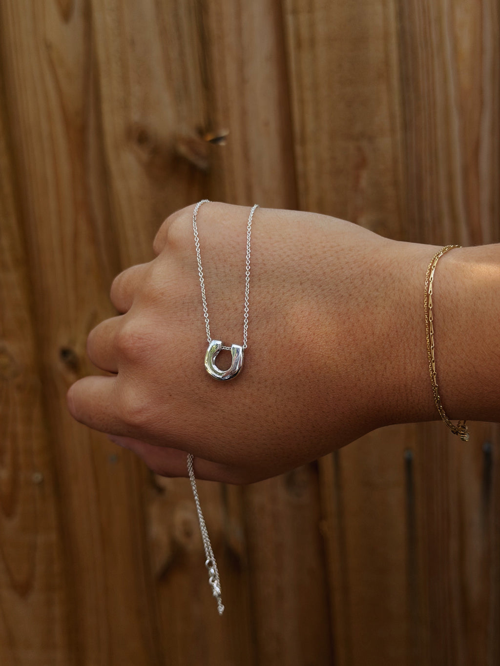 Horseshoe - Sterling Silver Pendant