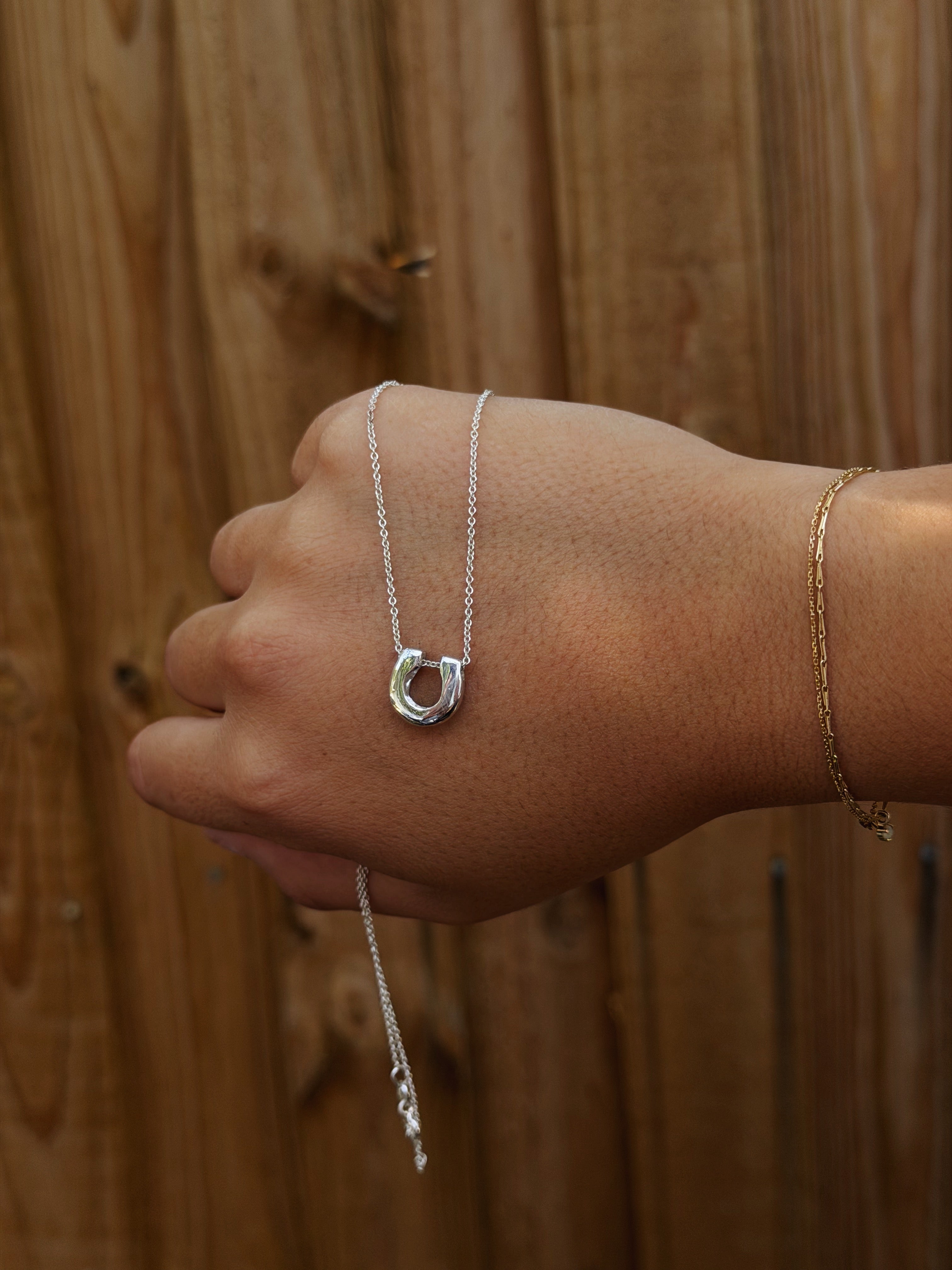 Horseshoe Pendant