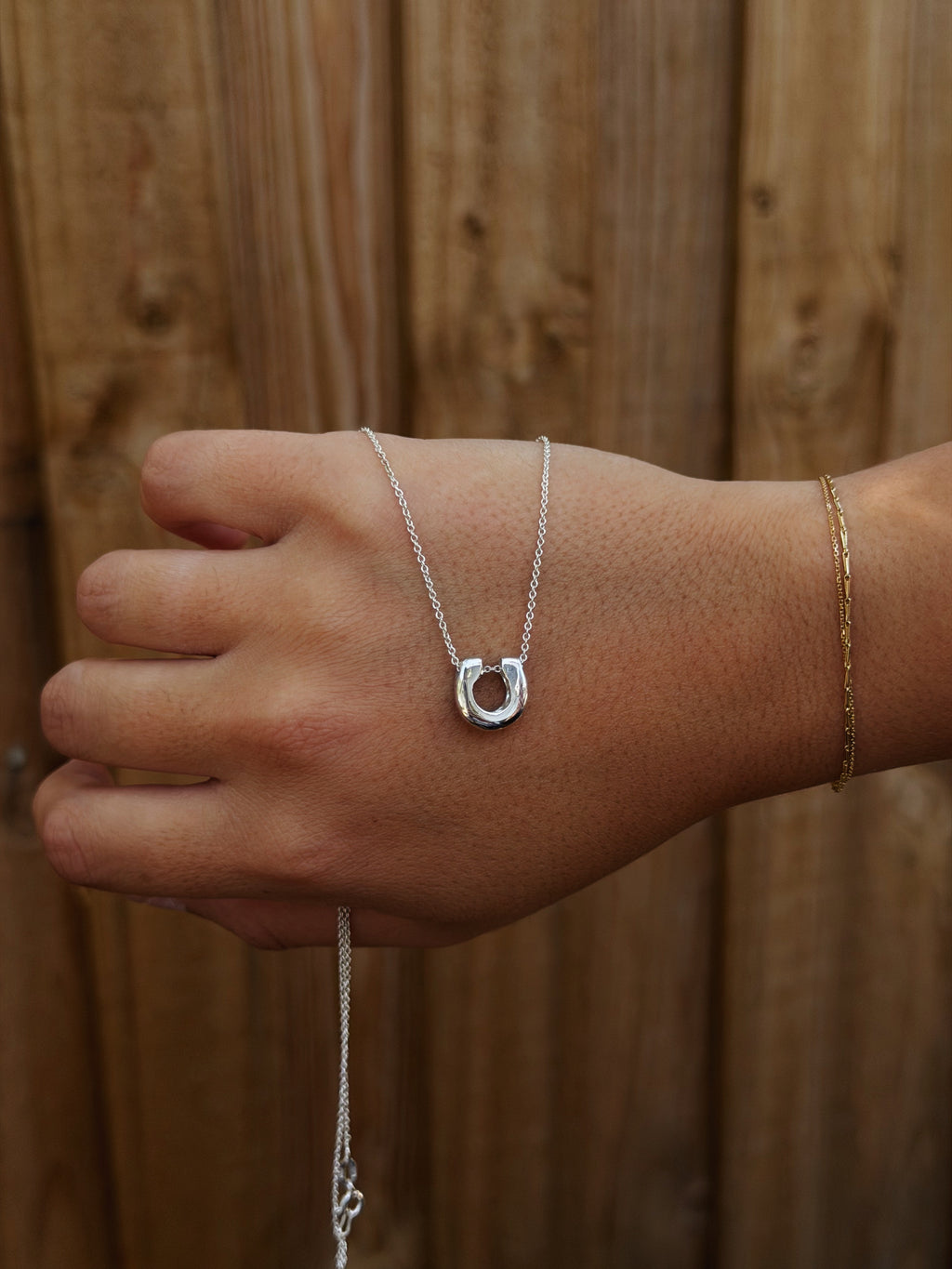 Horseshoe - Sterling Silver Pendant